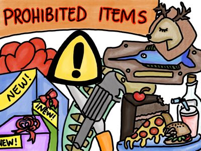 items that cannot be imported to MX