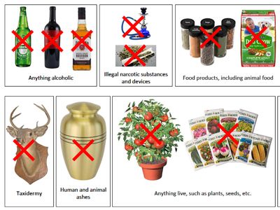 prohibited items when moving to MX